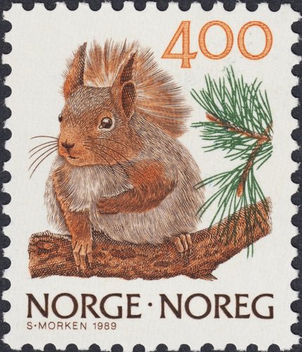 1988-1991_Noruega_Fauna_1989_Ardilla.jpg