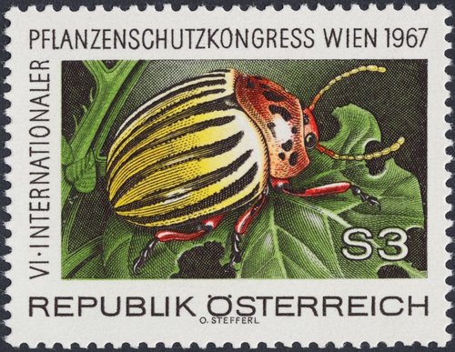 Austria, 1967, VI Congreso Internacional de Protección de Cultivos, Viena. Escarabajo de la patata. Diseño y grabado de Otto Stefferl. Huecograbado y calcografía