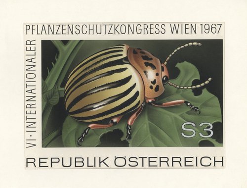Diseño adoptado, obra de Stefferl, para el sello de 1967 del Congreso Internacional de Protección de Cultivos. Pintura acrílica, tinta y lápiz sobre cartulina, 28 x 20.7 cm