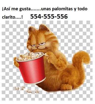 Palomitas.jpg