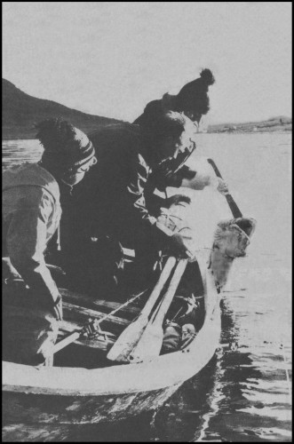 Fotografía de Thorbjørn Tufte utilizada por Sverre Morken para diseñar y grabar uno de los sellos noruegos de la pesca aficionada de 1984