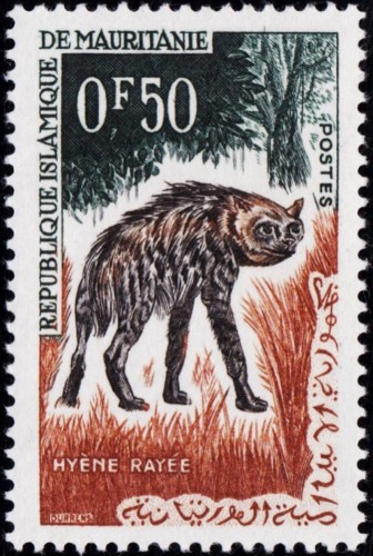 Mauritania, 1963. Fauna africana; Hiena rayada. Sello diseñado y grabado por Claude Durrens. Impresión en calcografía