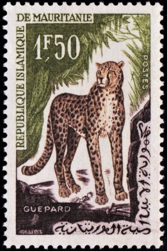 Mauritania, 1963. Fauna africana; Guepardo. Sello diseñado y grabado por Claude Durrens. Impresión en calcografía