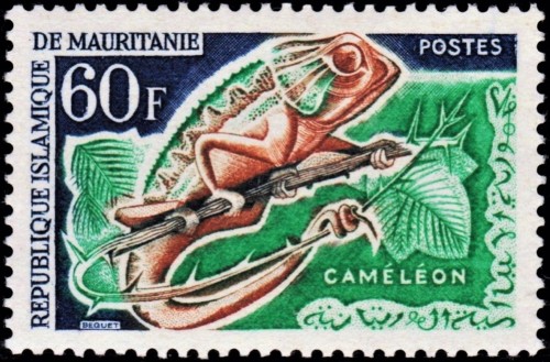 Mauritania, 1963. Fauna africana; Camaleón. Sello diseñado y grabado por Pierre Béquet. Impresión en calcografía